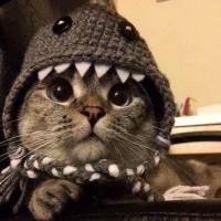 Vadim  avatar
